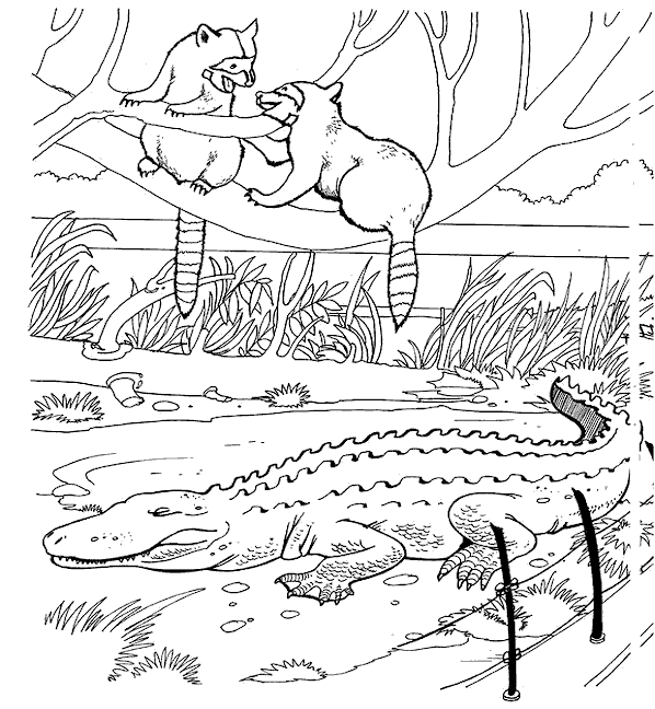 Plansa de colorat cu Gradina zoologica 2 12